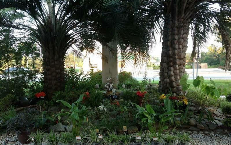 Quality Inn Goose Creek - Charleston Dış mekan fotoğraf